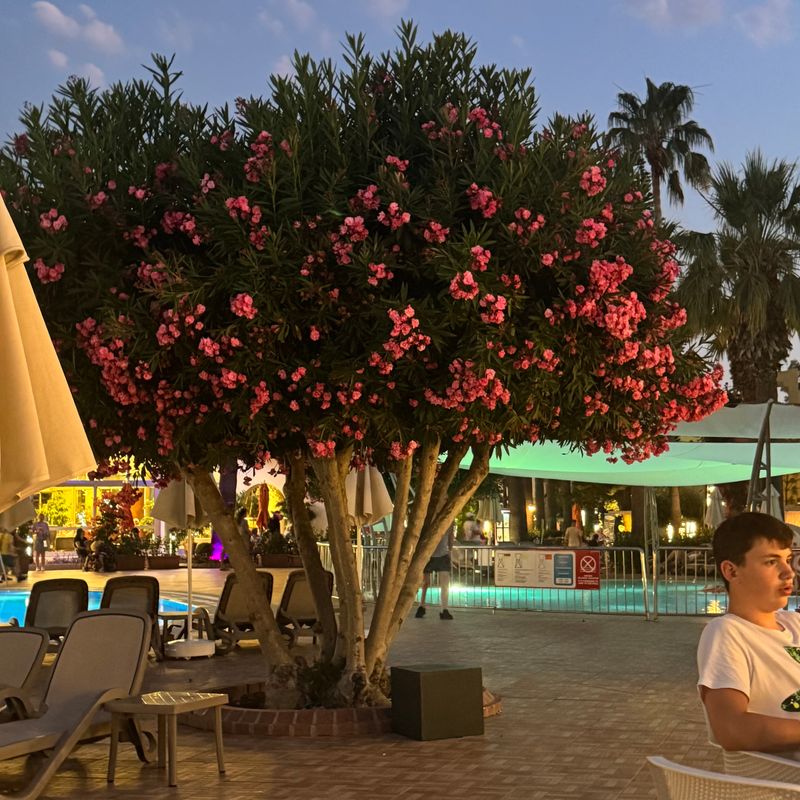 Vonresort Golden Beach фото 63