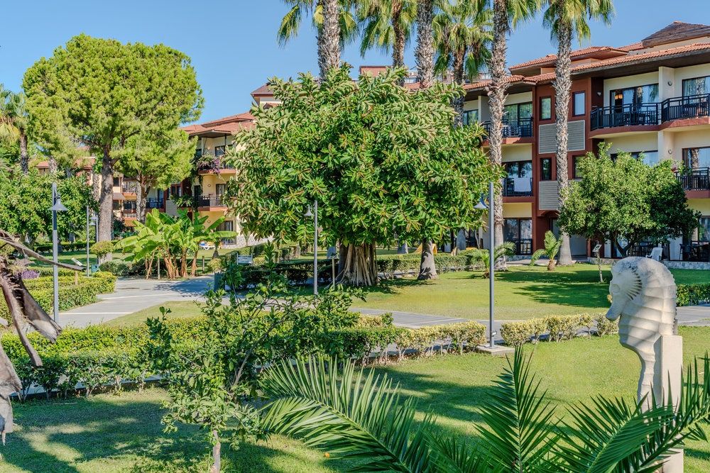 Justiniano Club Park Conti фото 228