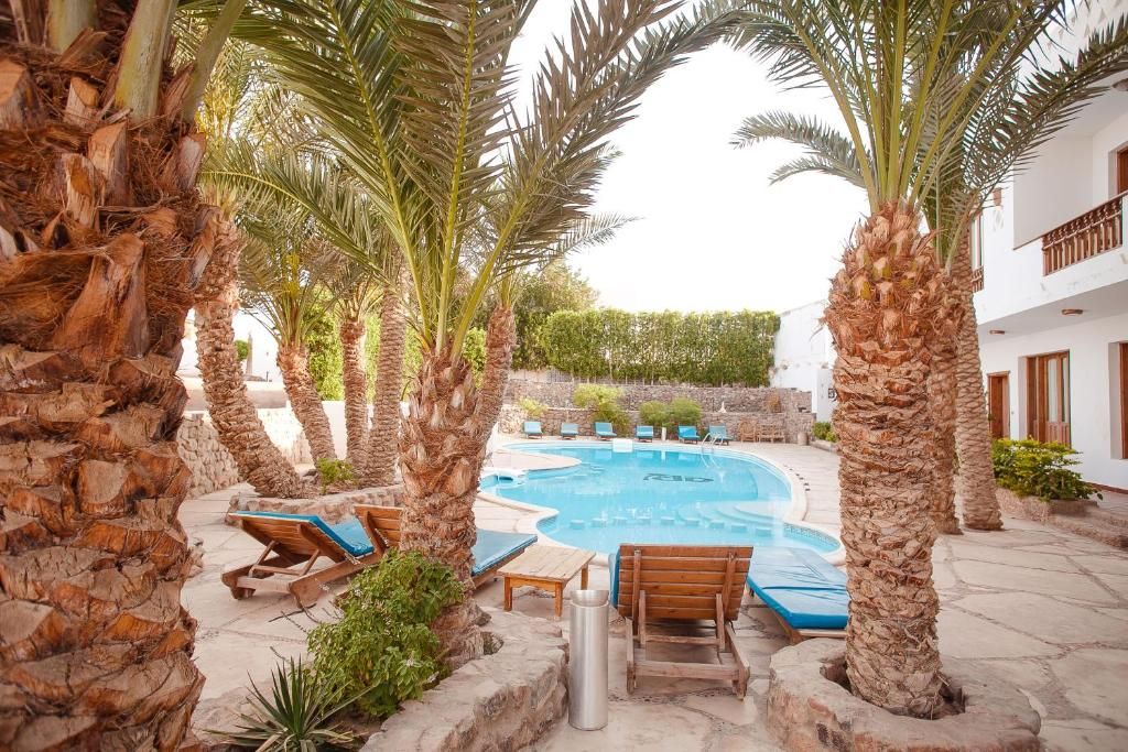 Dahab Divers фото 4