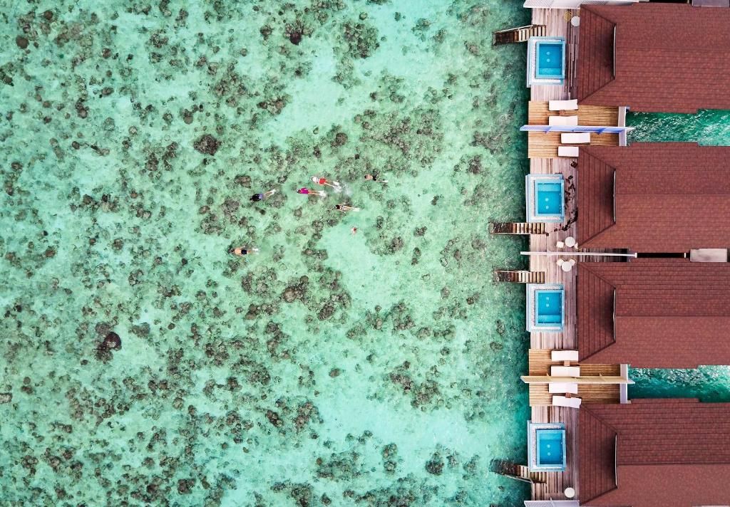 The Standard, Huruvalhi Maldives фото 148