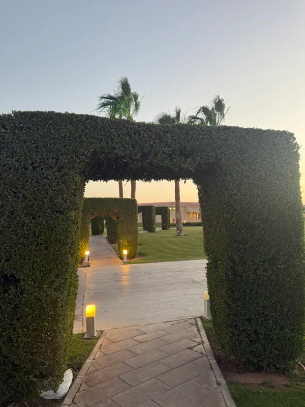 Pickalbatros Luxury Suites фото 158