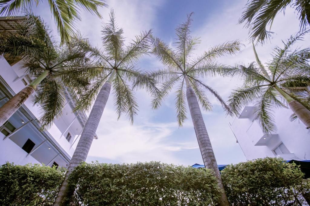 St. Lachlan Hotel & Suites фото 56