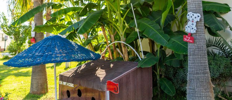 Фото отеля Labranda Lebedos Princess