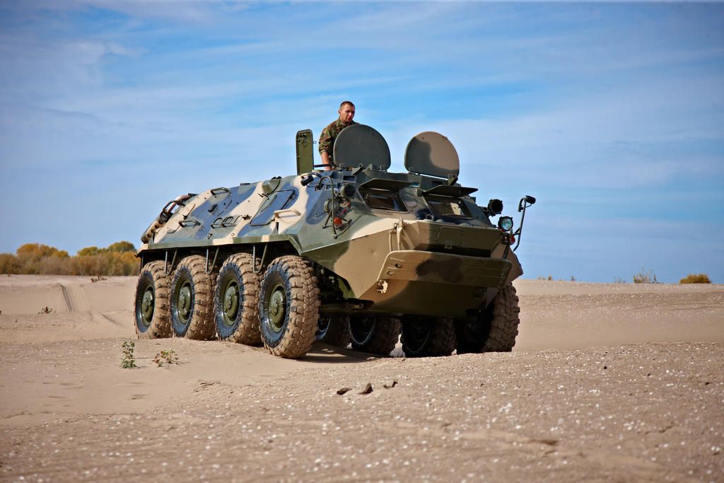 Золотая рыбка фото 39