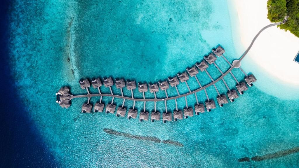 JA Manafaru фото 88