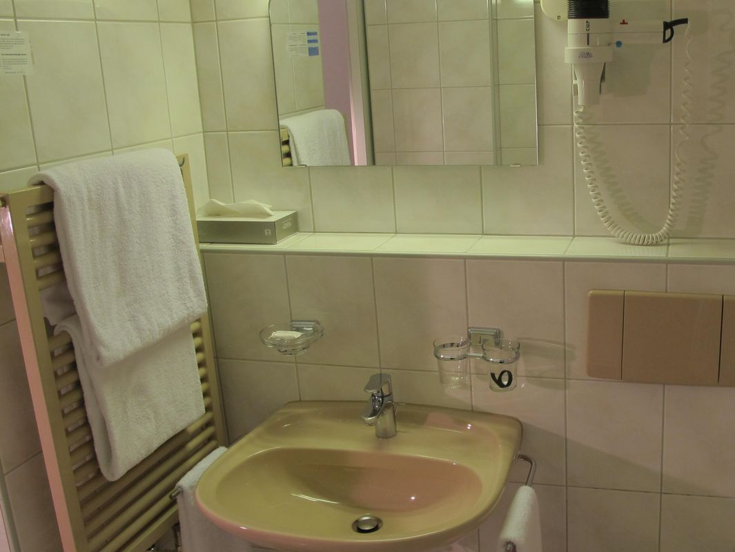 Hotel Alpina Luzern фото 11
