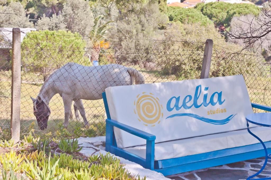 Aelia Studios фото 17