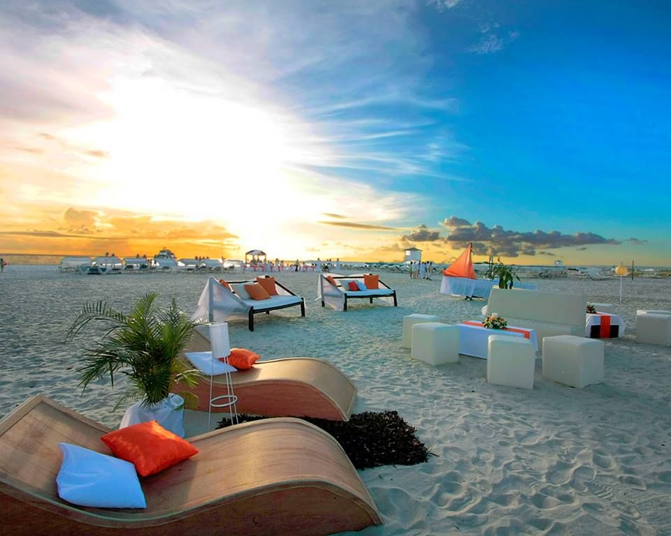 Paradise Coche фото 14