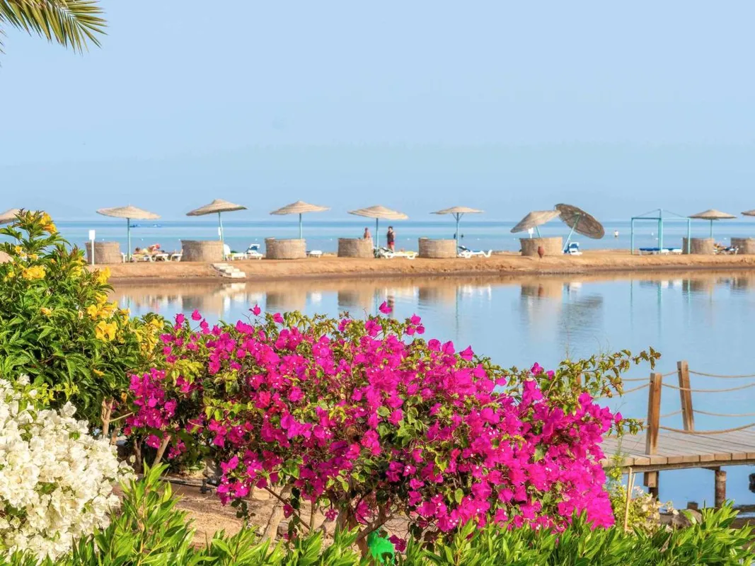 Movenpick Resort & Spa El Gouna фото 14