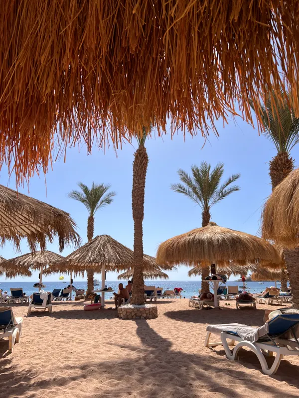 Jaz Sharm Dreams фото 79