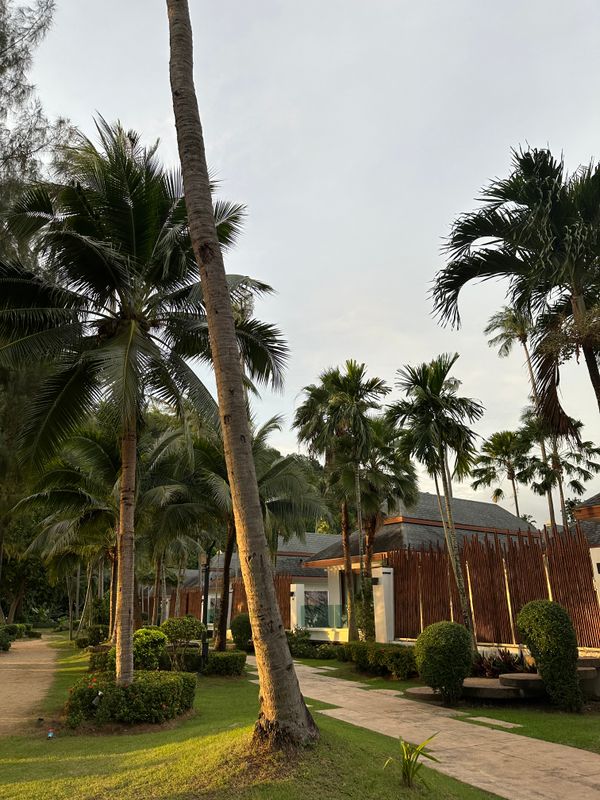 Krabi Resort фото 45