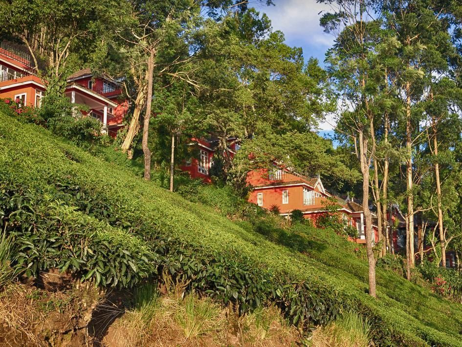 Tea Valley Resort фото 2