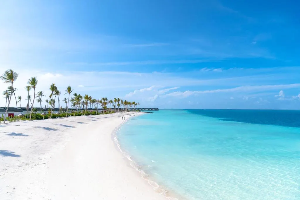 Joy Island фото 9