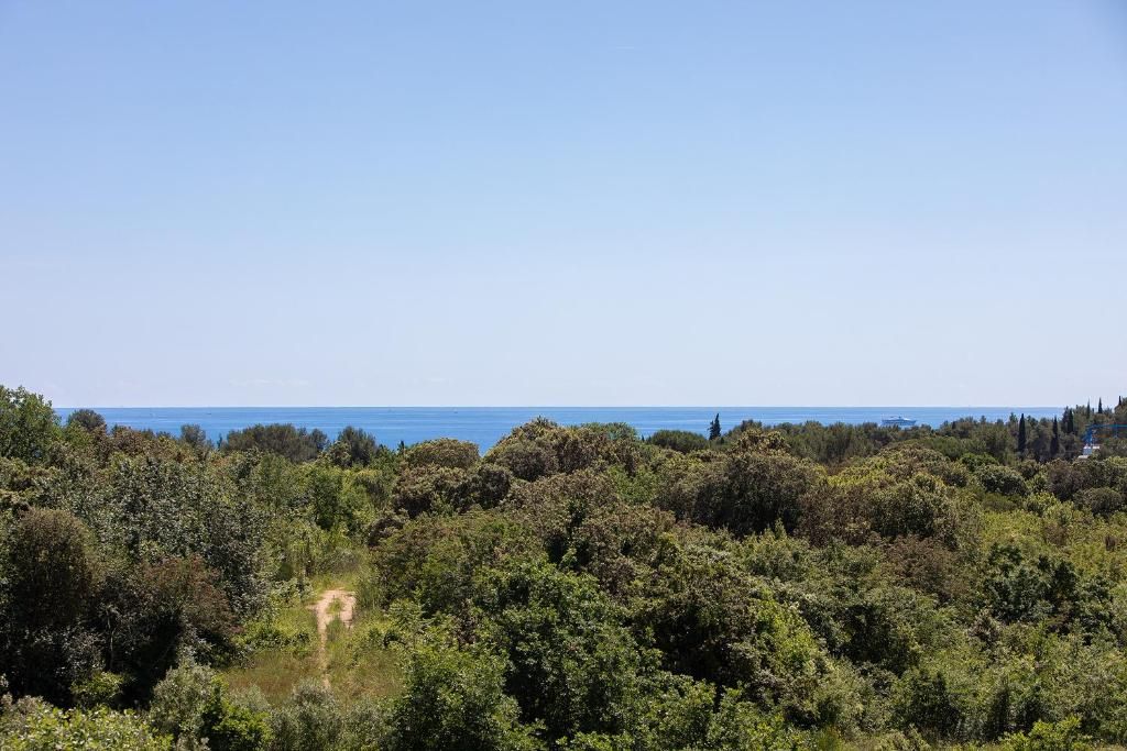 Villa Mareonda фото 5