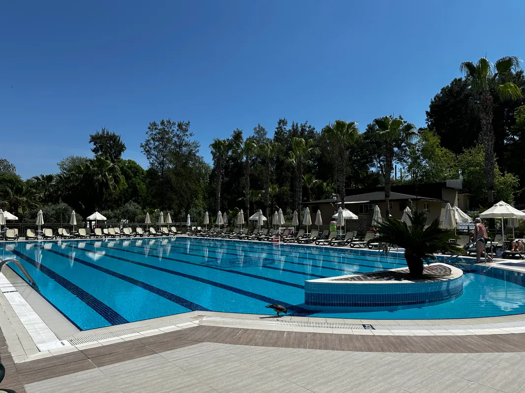 Club Hotel Sidelya фото 24