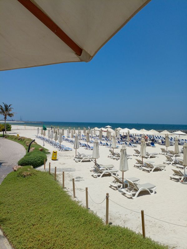 Sheraton Sharjah Beach Resort & Spa фото 103