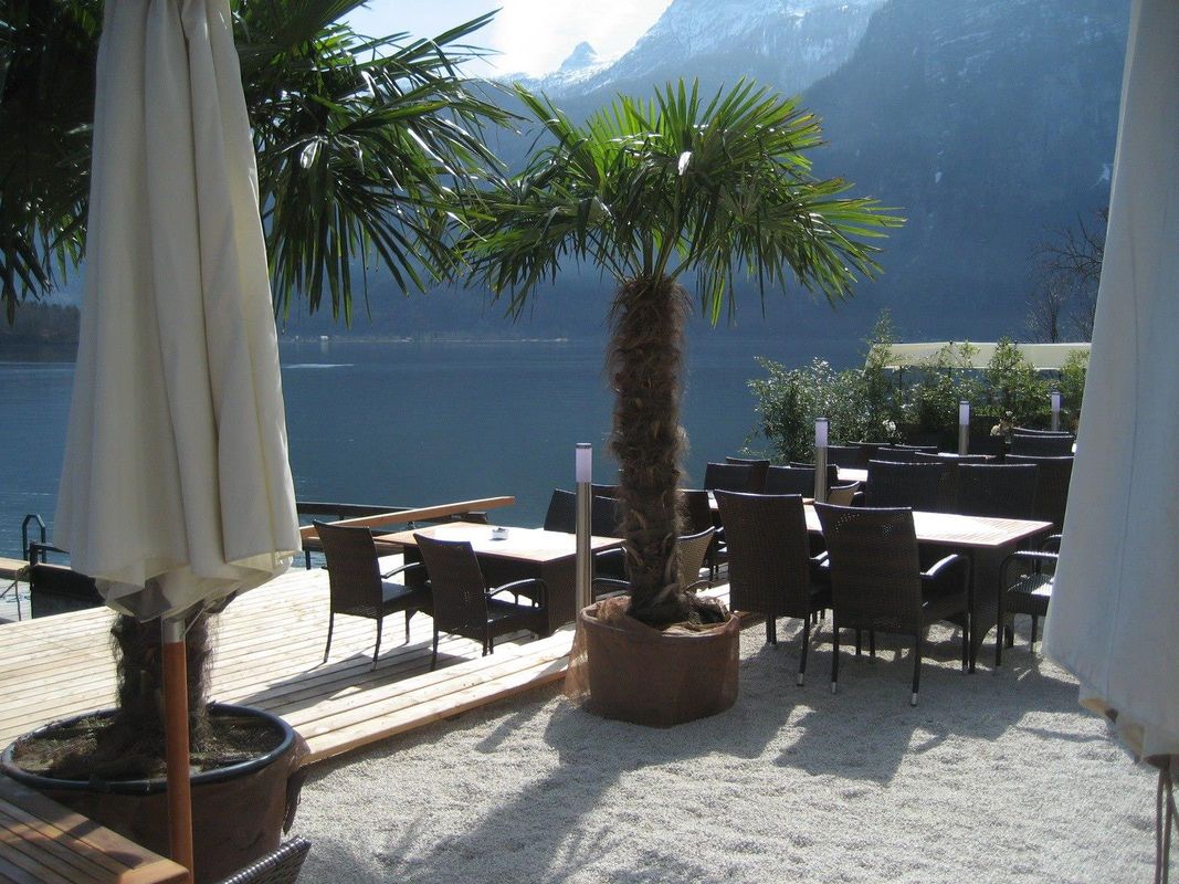 Seehotel Gruner Baum фото 2