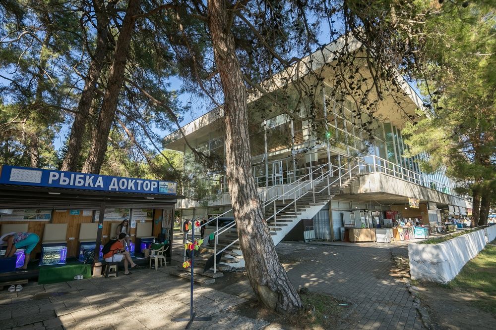 Пансионат «Пансионат «Курорт Пицунда»» фото 101