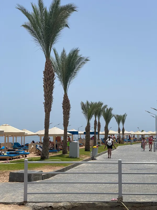 Pickalbatros Aqua Park Resort (Hurgada) фото 130