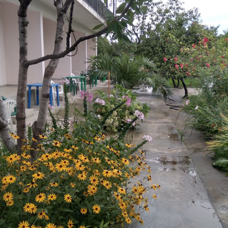Гостевой дом «Гостевой дом «Аида»» фото 24
