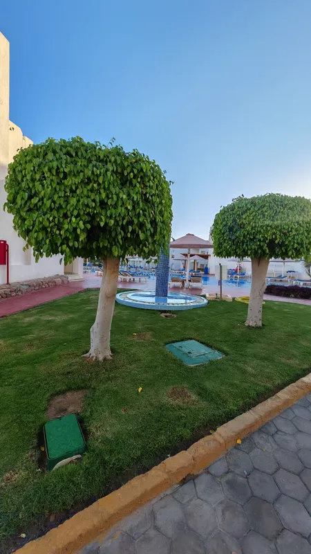 Pickalbatros Royal Grand Resort Sharm El Sheikh (Adults Only) фото 92