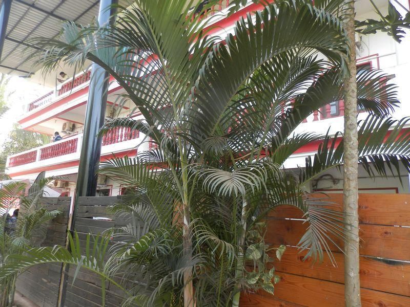 Sea Shore Beach Resort фото 3