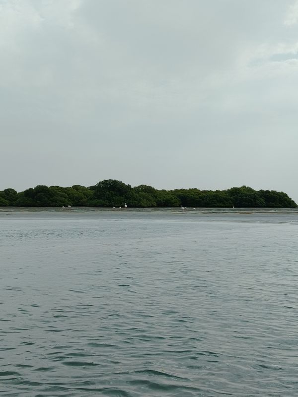 Flamingo Beach Resort фото 62