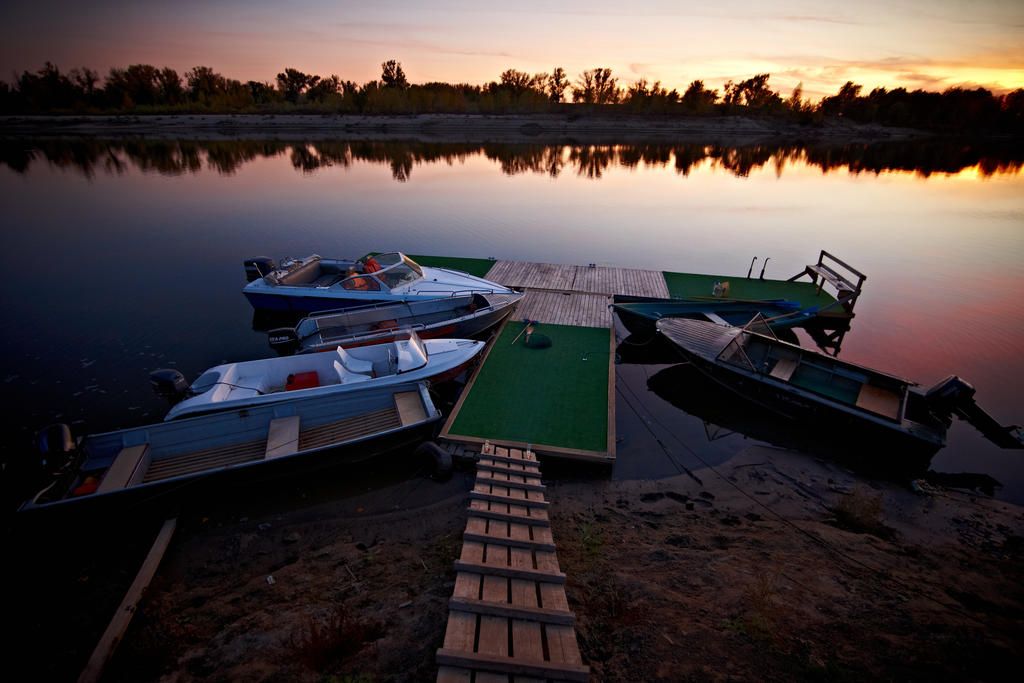 Золотая рыбка фото 37