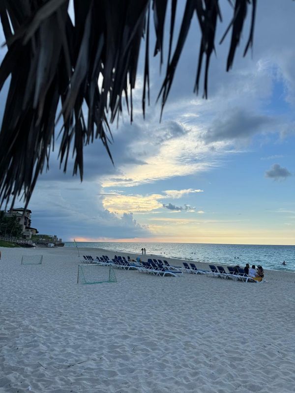 Melia Las Americas (Adults Only) фото 80