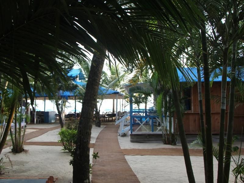 Cafe Blue фото 3