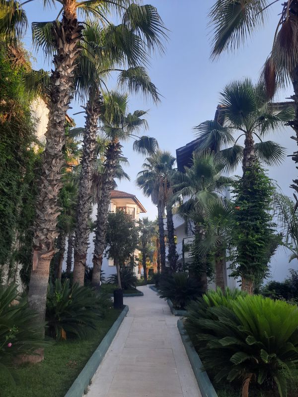 Marvida Hotel Akman Park фото 83