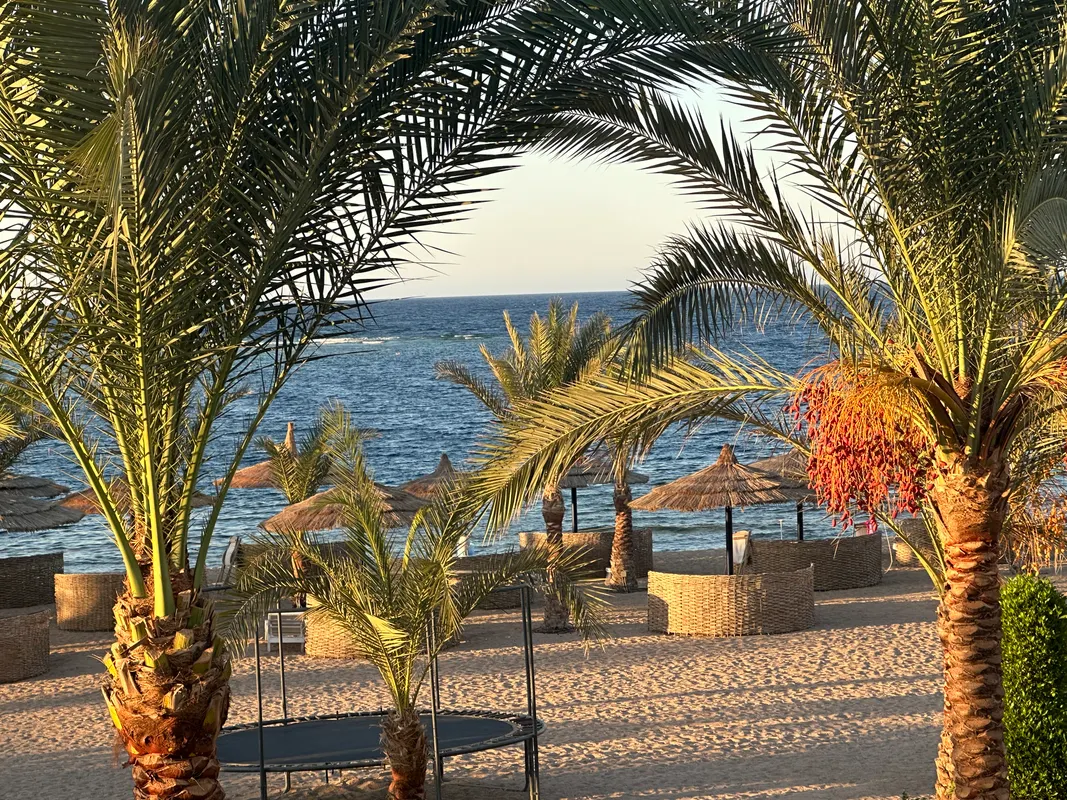 Coral Sun Beach фото 24