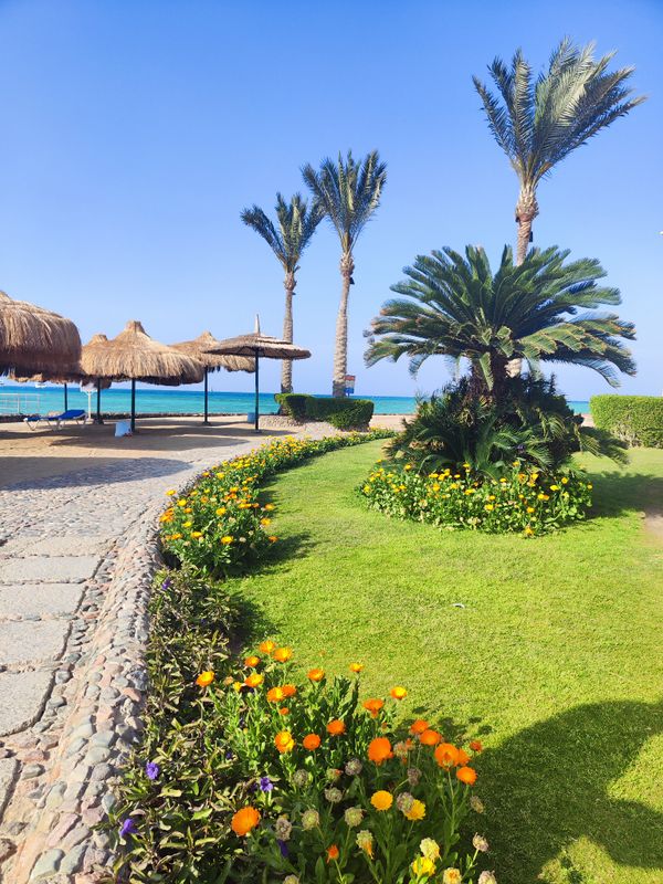 Sunny Days El Palacio Resort & Spa фото 295