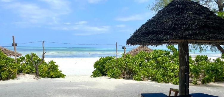 Фото отеля Poa Poa Bungalows