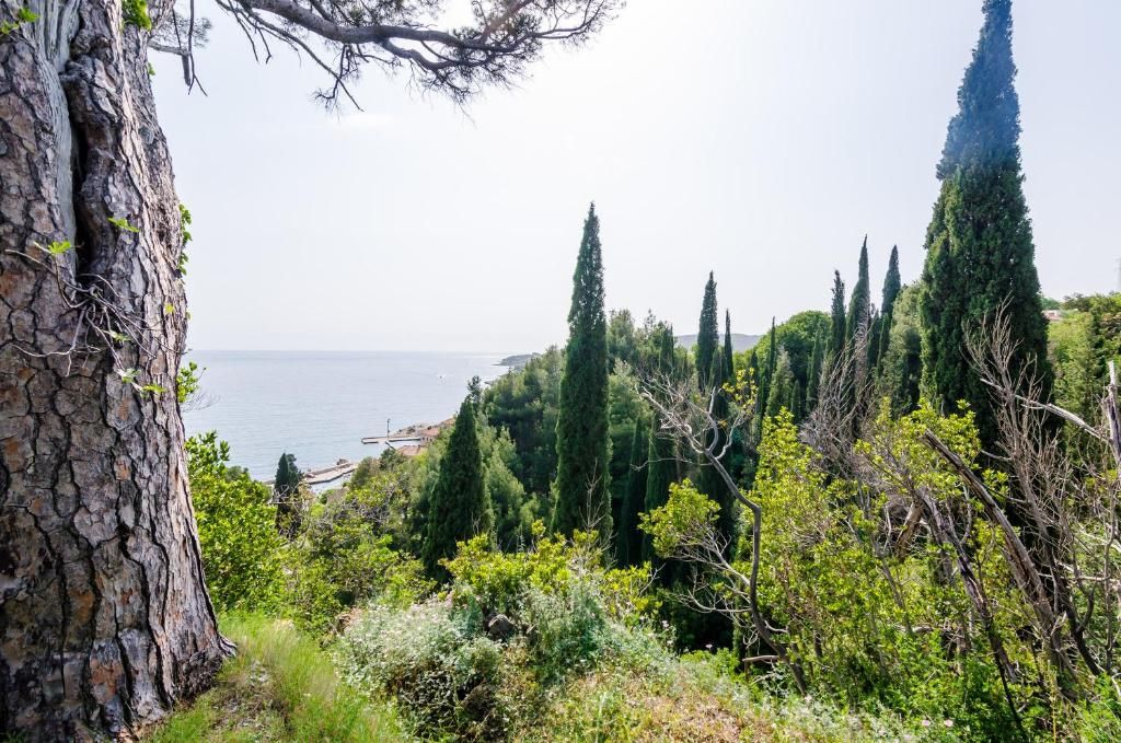 Villa Tonci фото 30