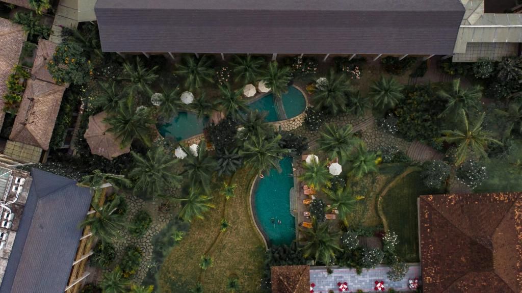 Alaya Resort Ubud фото 46