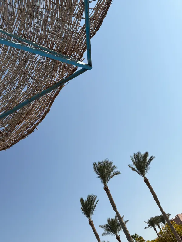 Rehana Sharm Resort Aquapark & Spa фото 70