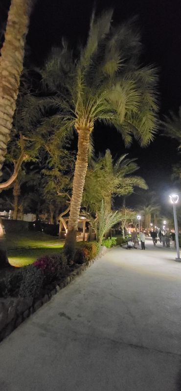 Naama Bay Hotel & Resort фото 83