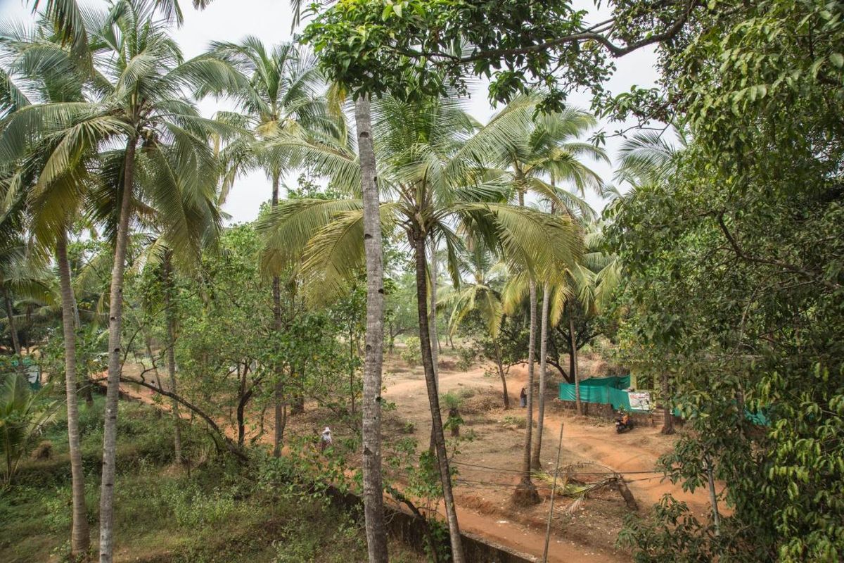 Arambol Arbour фото 9