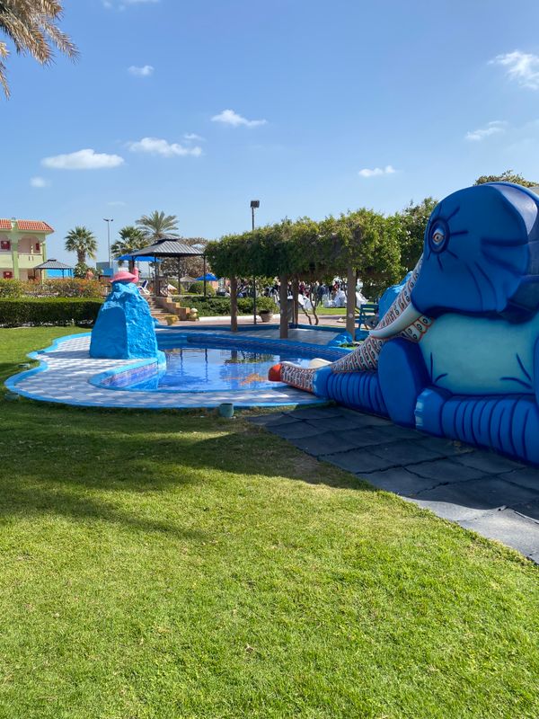 Flamingo Beach Resort фото 45