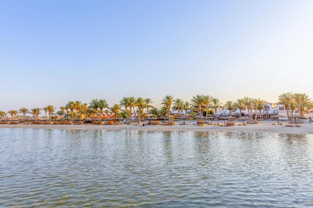 Protels Beach Club & SPA фото 48