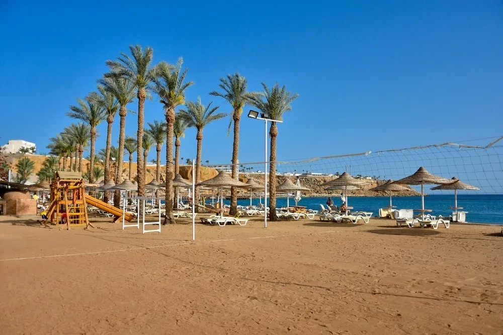 Seti Sharm Palm Beach Resort фото 12