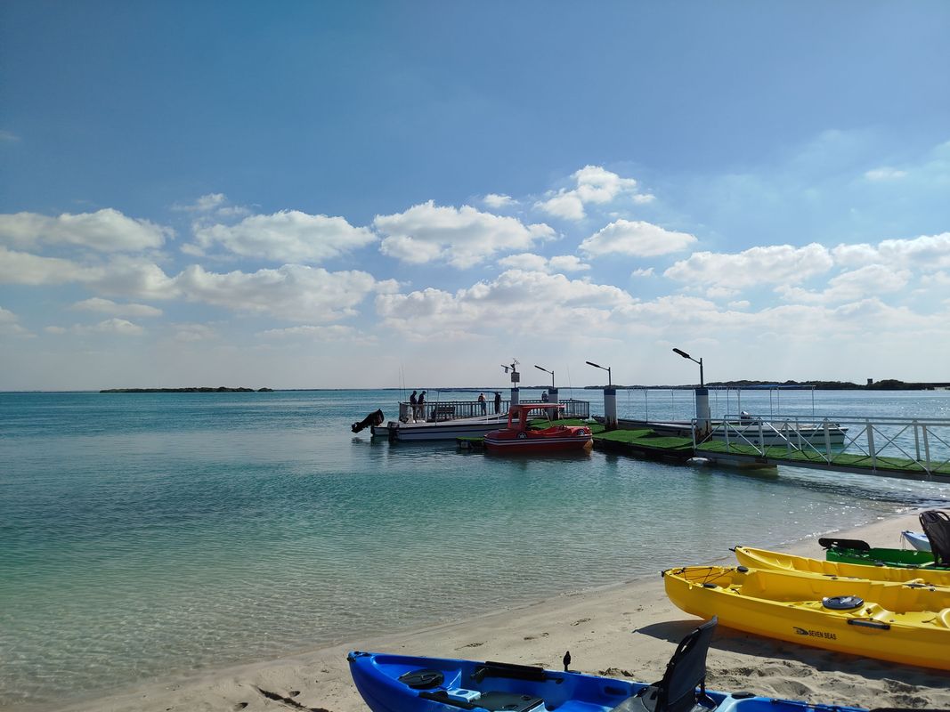 Flamingo Beach Resort фото 33