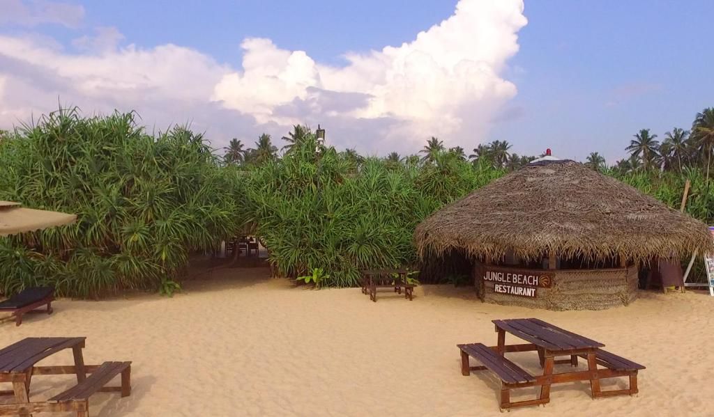 Jungle Beach Camp фото 20