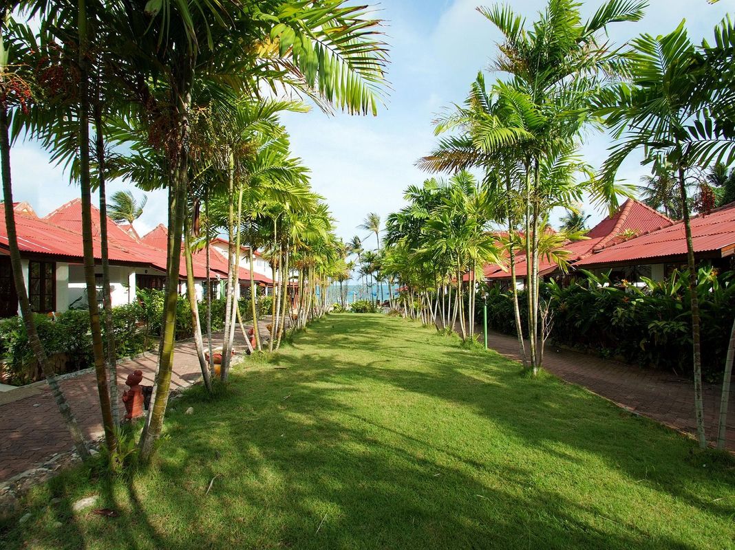Chaweng Resort фото 28