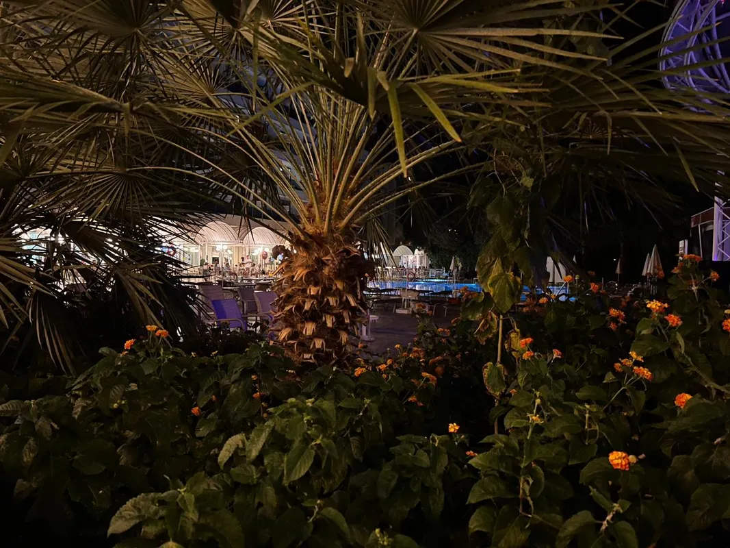 Letoile Beach Hotel фото 63