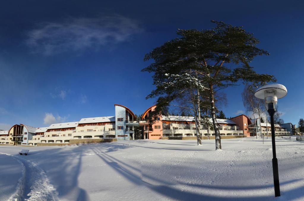 Lipno Lake Resort фото 21