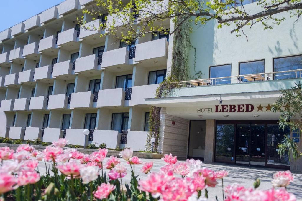 Lebed фото 20