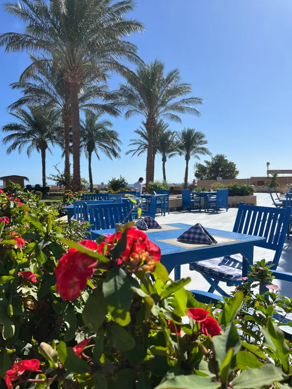 Sentido Caribbean World Resort Soma Bay фото 94