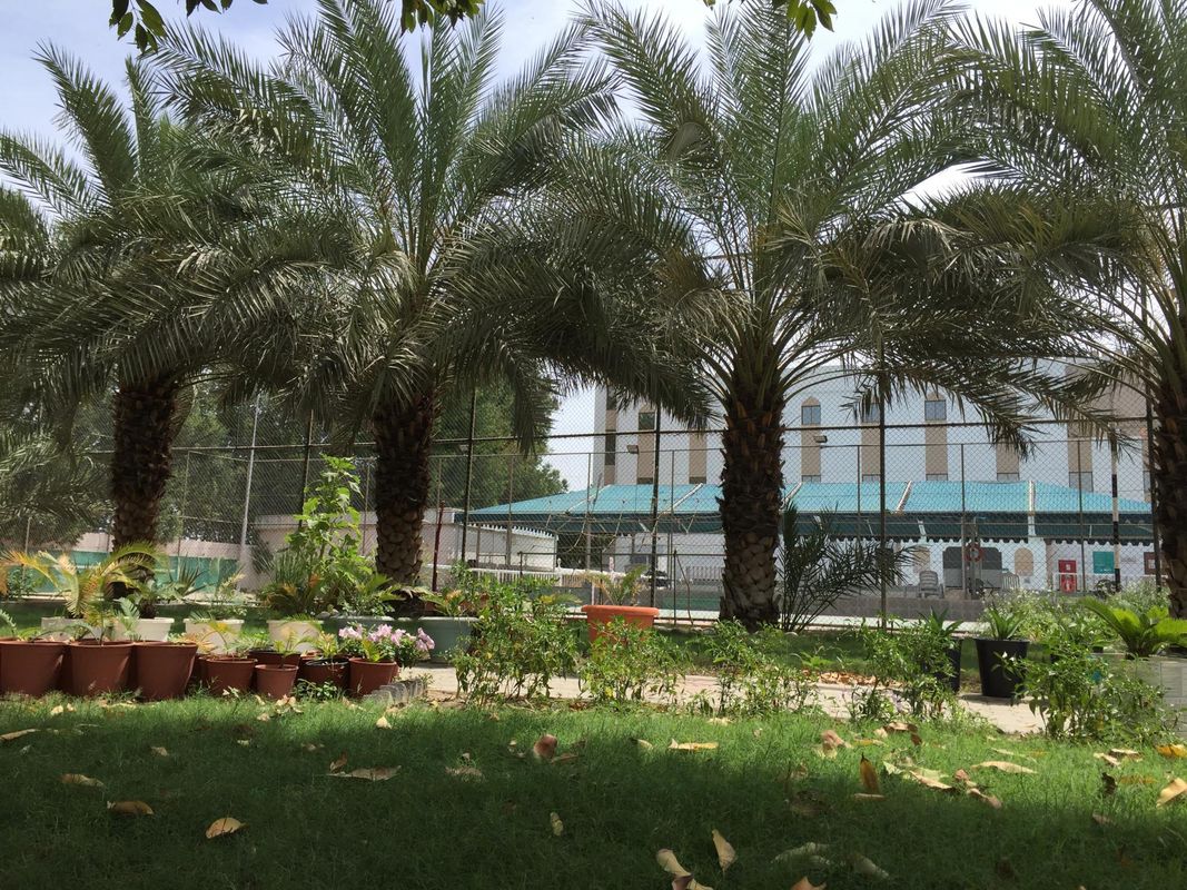 Hotel Al Madinah Holiday фото 8